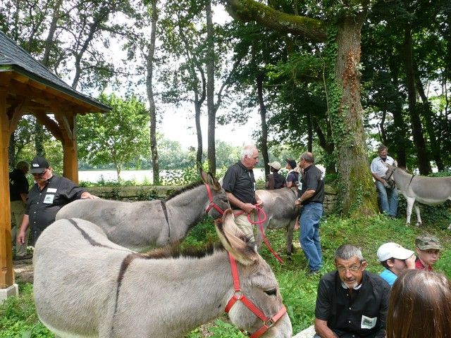 Le Parc 19 juillet 2012 (24).jpg